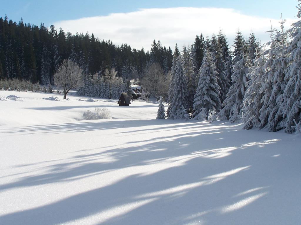 Chata Pod Koberstejnem Rejviz Bagian luar foto