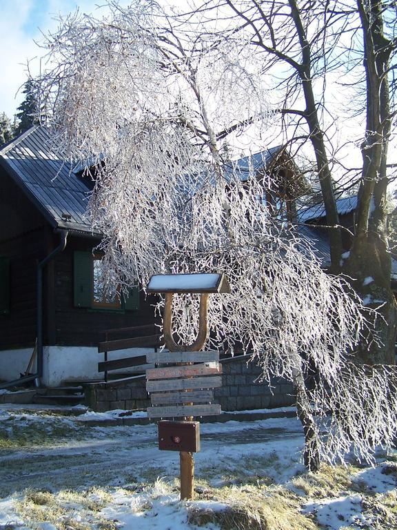 Chata Pod Koberstejnem Rejviz Bagian luar foto